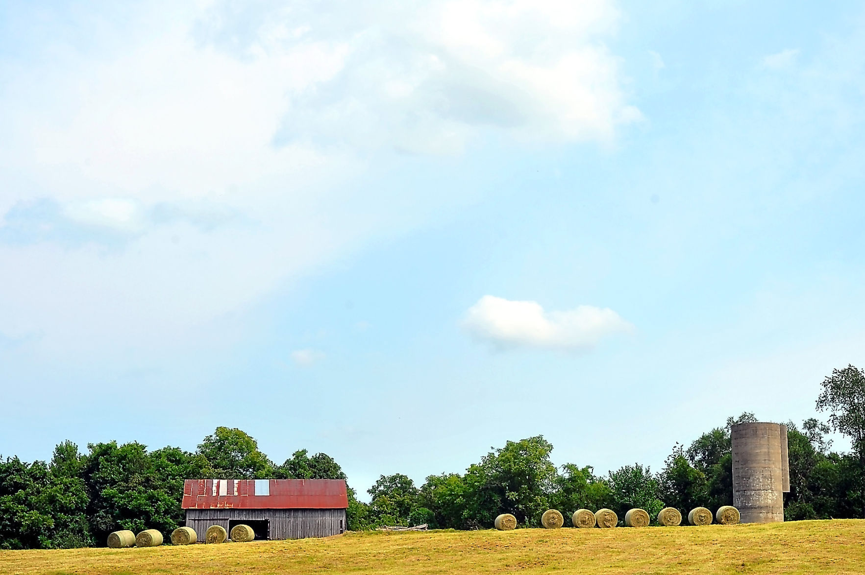 Farm Scene